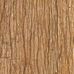 Wall Nut Travertine Vein Cut