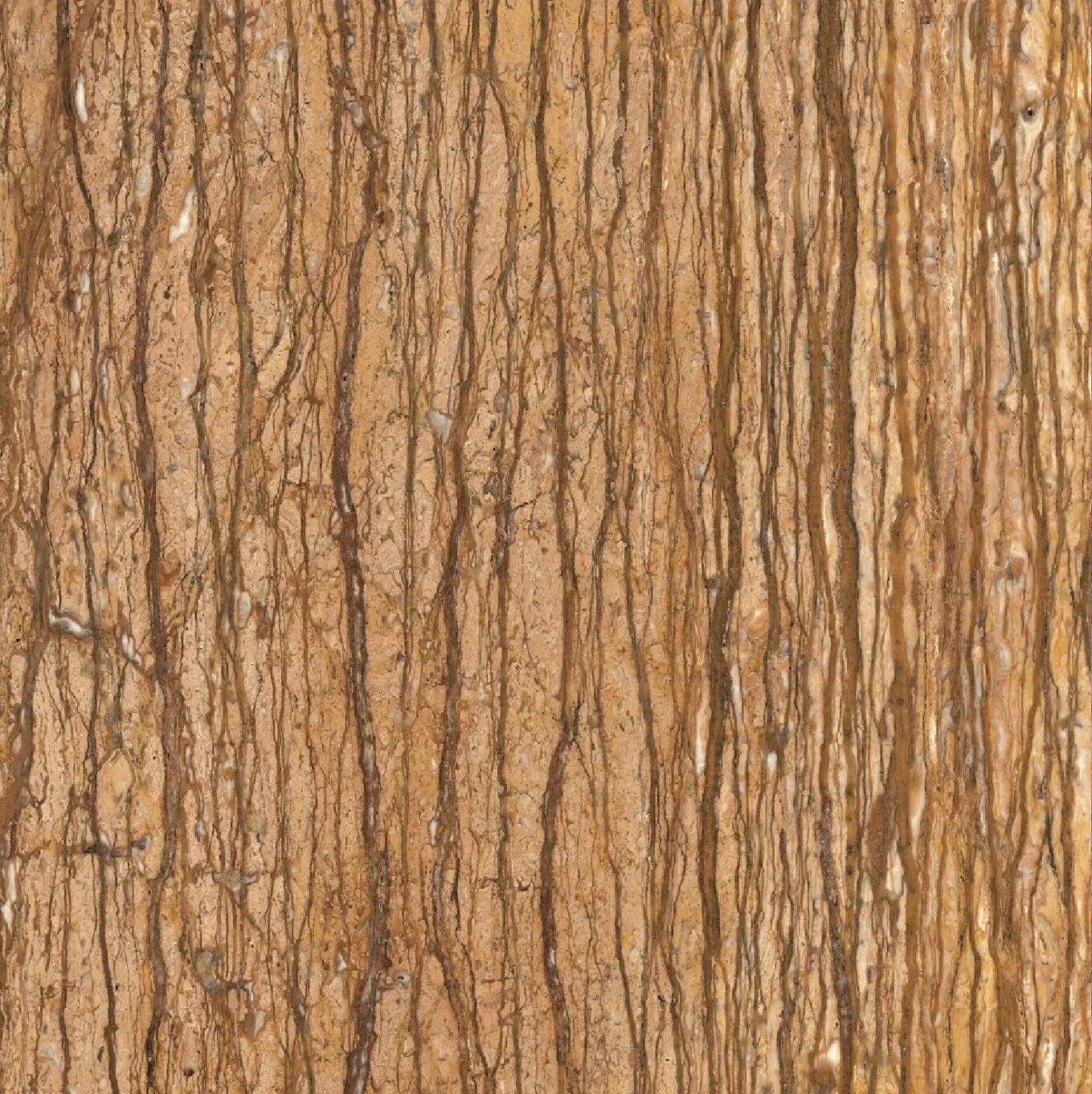 walnut-scaled-e1703044692842